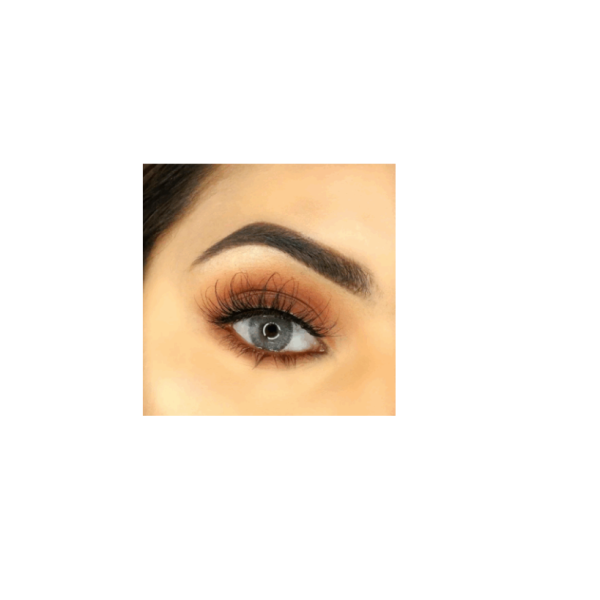 FreshTone Diva Gray lentilles de contact